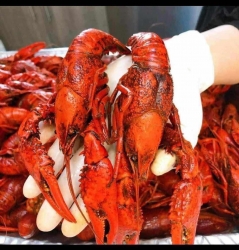 CRAWFISH Crayfish land, look is mesmerizing, eat is exhilarating tại California