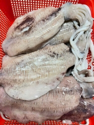 Fresh variety of fish available today tại California