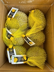 Green Day Durian with 95% Stability tại California