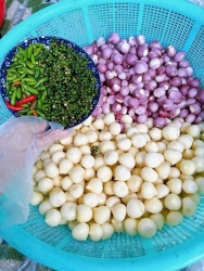 LONE GARLIC MIXING WITH GREEN PEPPER tại California