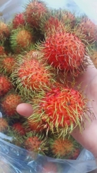 Fresh delicious lychees for sale tại California