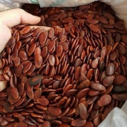 Watermelon Seeds, Natural Color, 500g Pack tại California